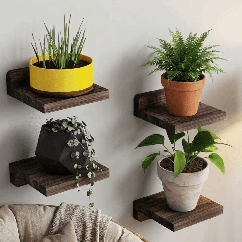 4PCS Wood Small Floating Shelv - đánh giá và giá Floating Shelves