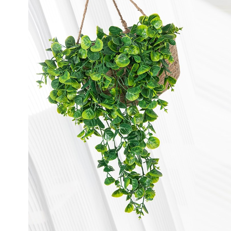 Eucalyptu Fern Rattan Artifici - đánh giá và giá Rattan Plant Basket