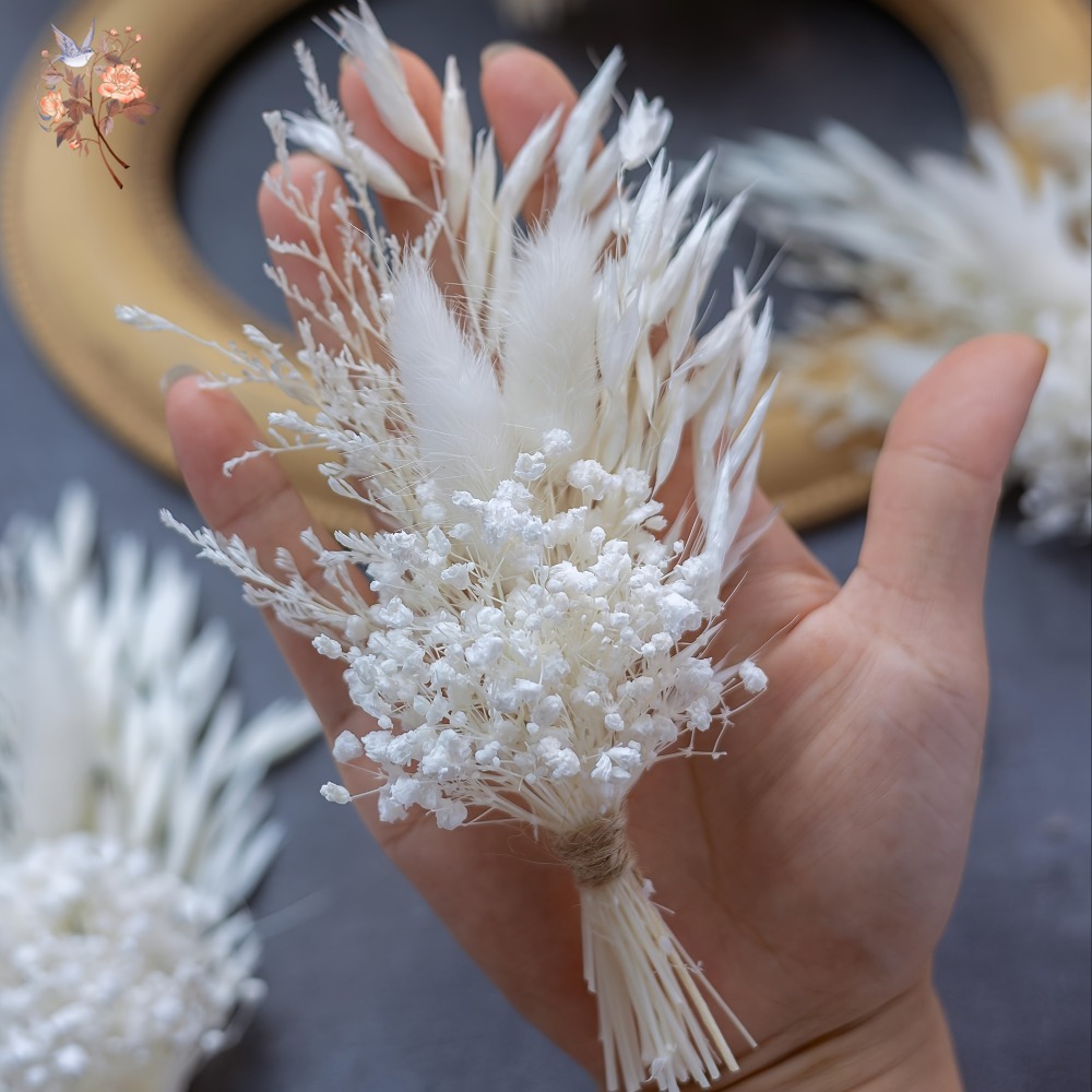 1/6 Bundles Elegant Mini Dried - đánh giá và giá Home Decor Rattan