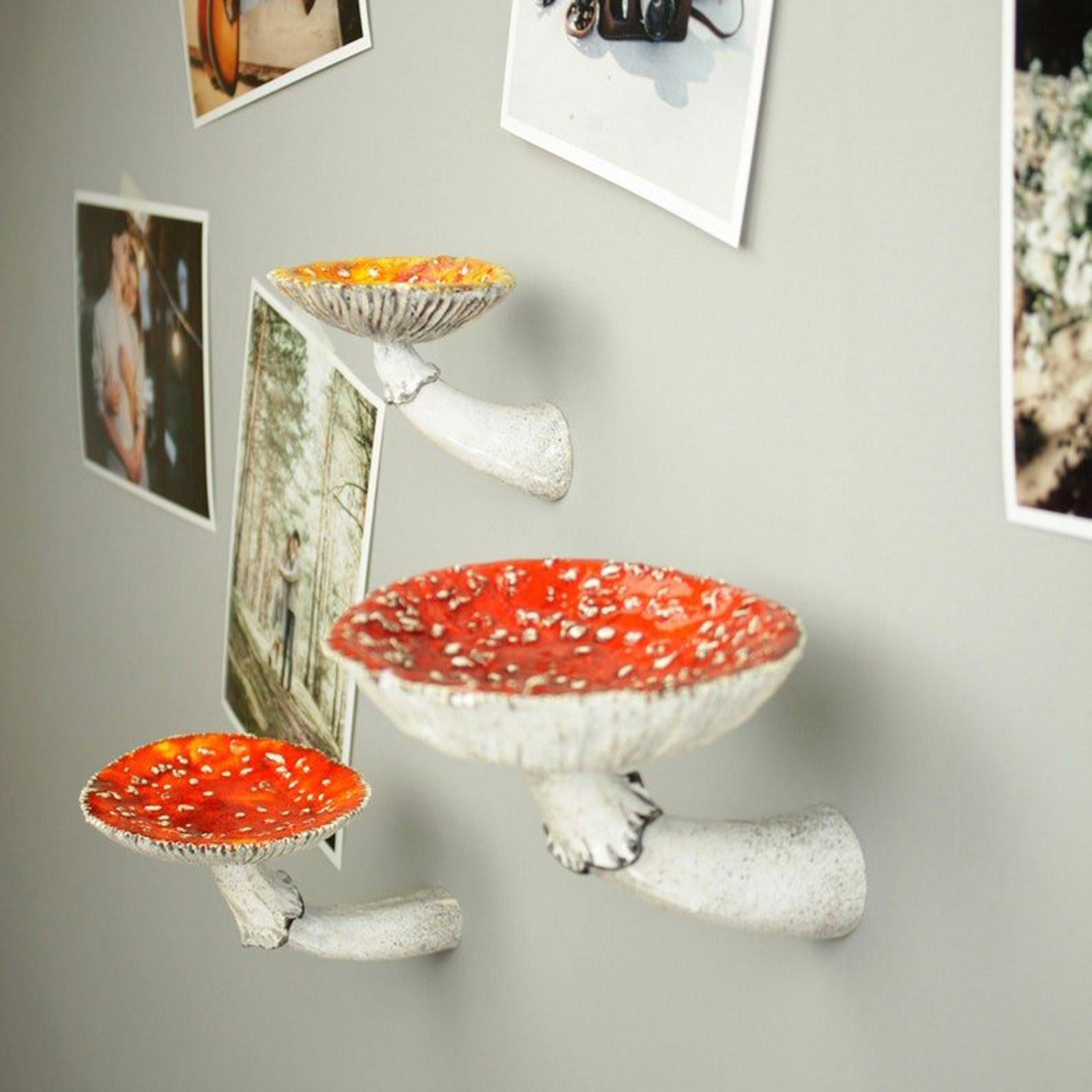 2024 Creative Resin Mushroom-H - đánh giá và giá Floating Shelves