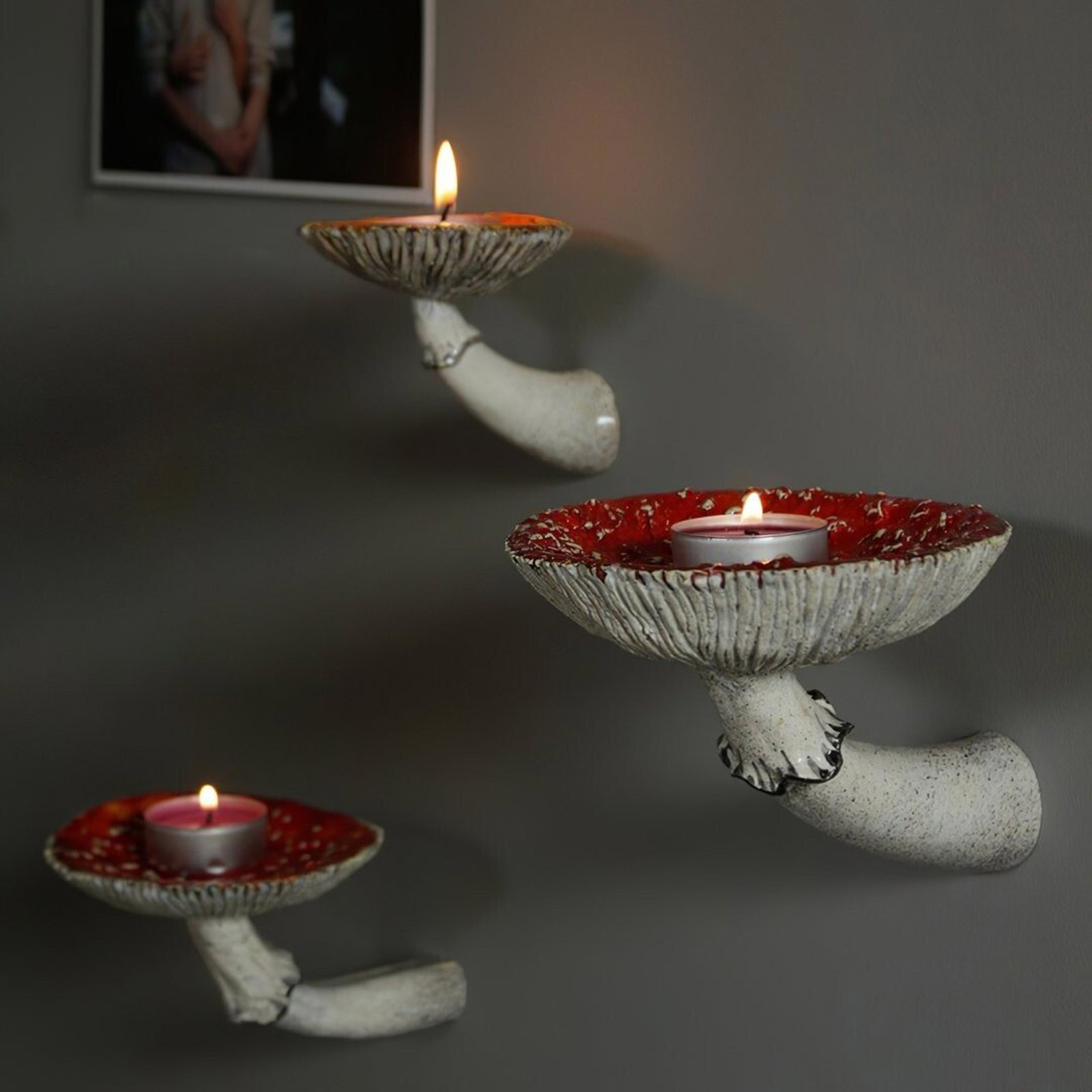 2024 Creative Resin Mushroom-H - đánh giá và giá Floating Shelves