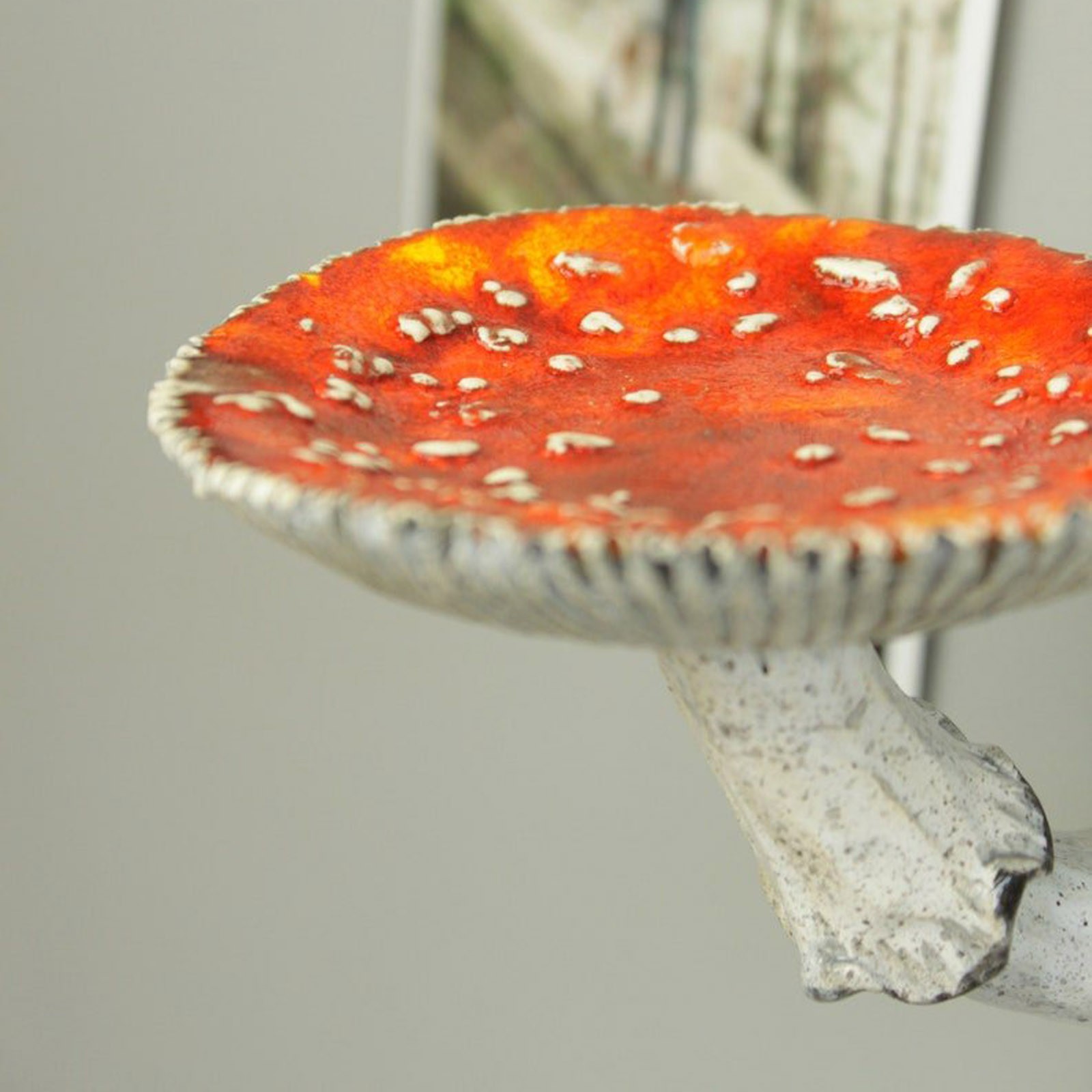 2024 Creative Resin Mushroom-H - đánh giá và giá Floating Shelves
