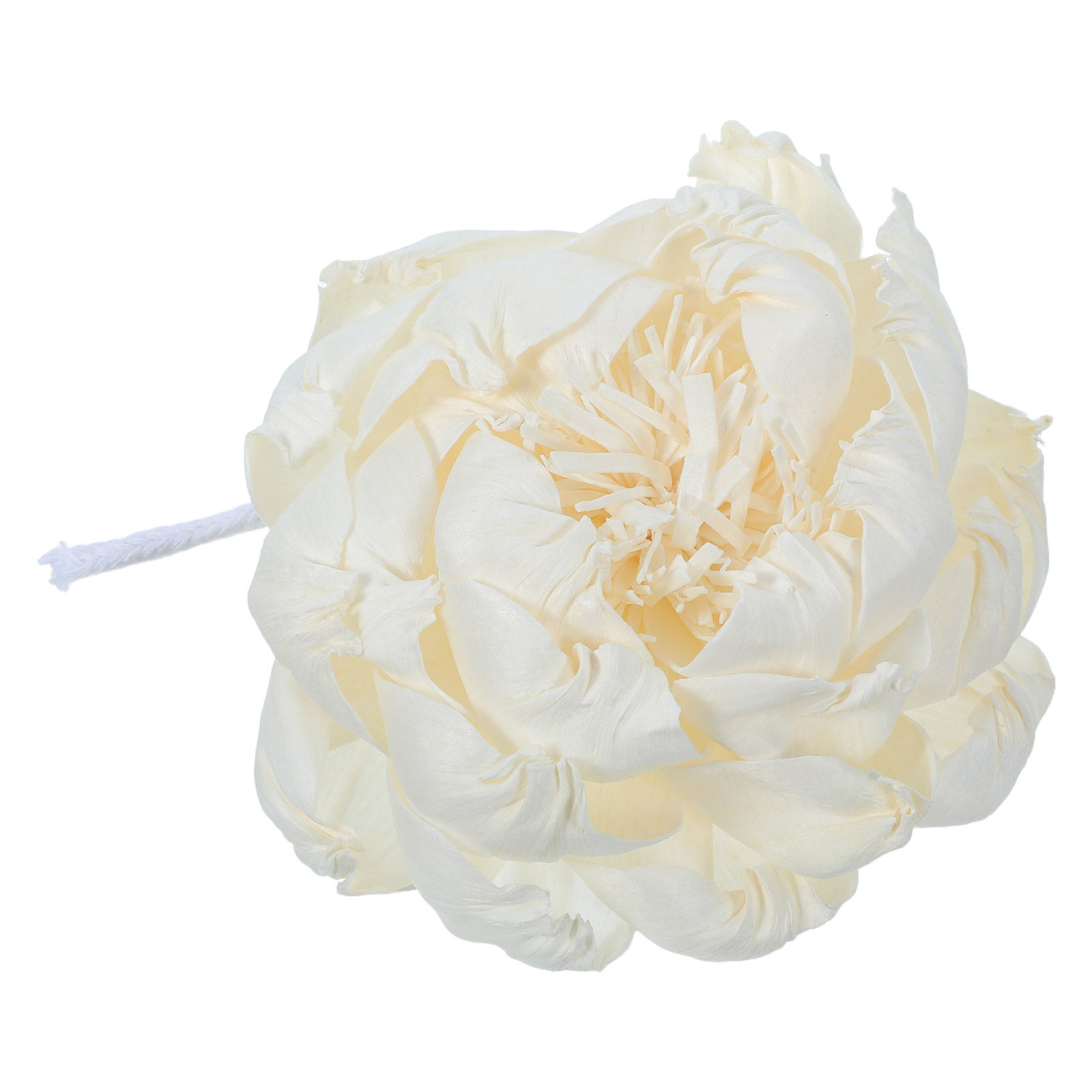 Peony Head Fragrance Diffuser  - đánh giá và giá Home Decor Essentials