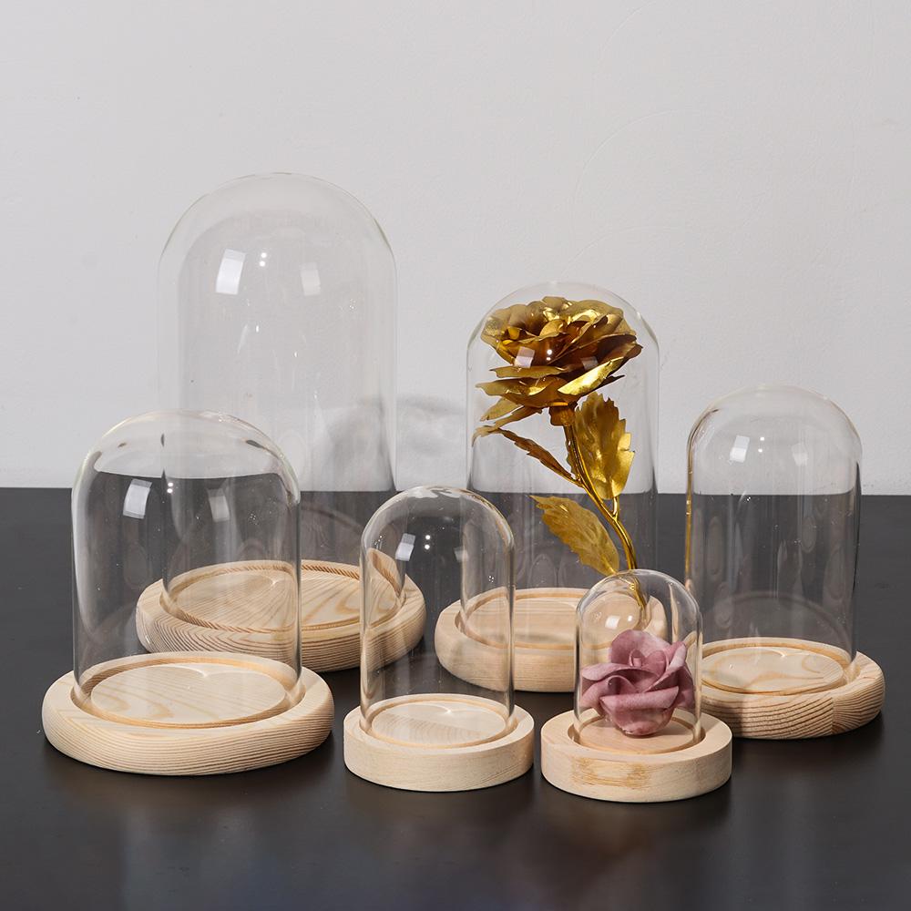 Home Decor Plants Jar Terrariu - đánh giá và giá Home Decor Vase