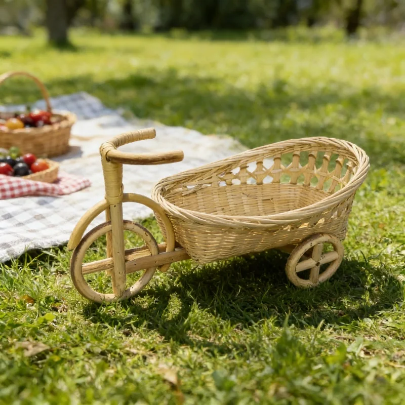 Newborn Photography Props Hand - đánh giá và giá Home Decor Rattan