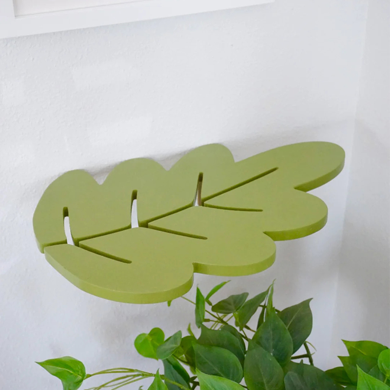 1PCS Wooden Shelf Foliage Colo - đánh giá và giá Floating Shelves