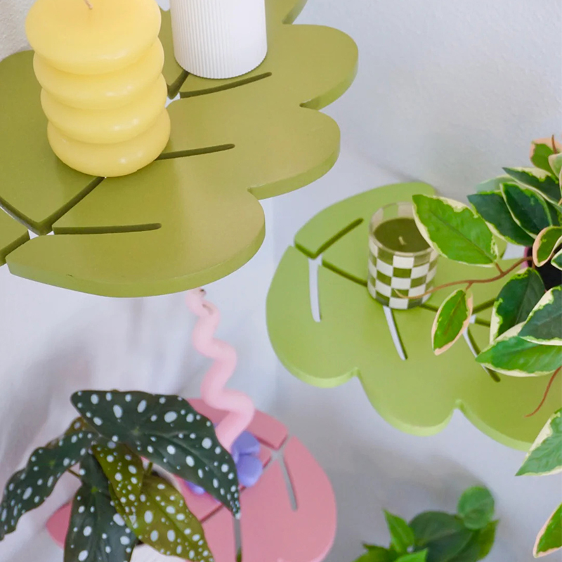 1PCS Wooden Shelf Foliage Colo - đánh giá và giá Floating Shelves