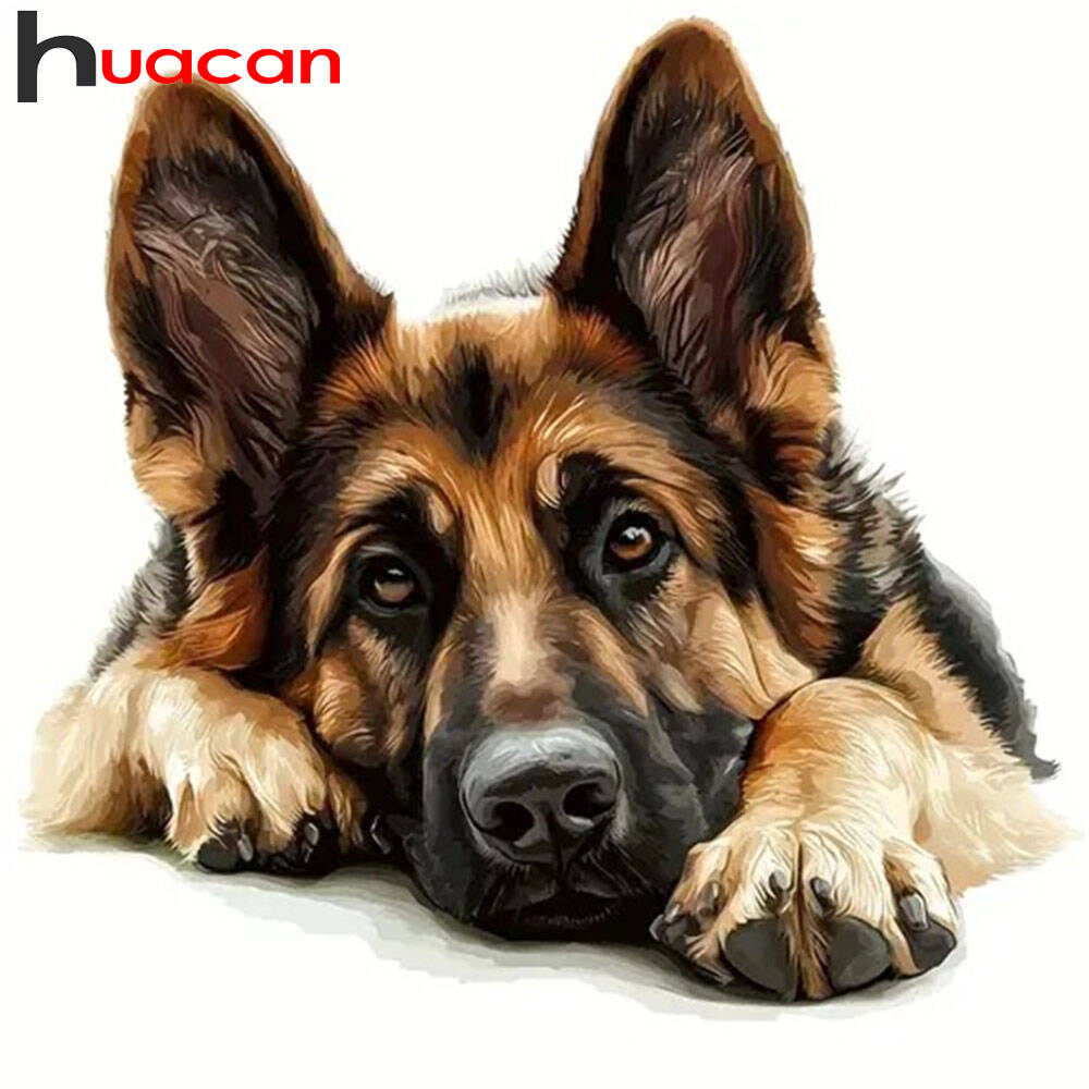 Huacan Diamond Painting German - đánh giá và giá Germany Home Decor