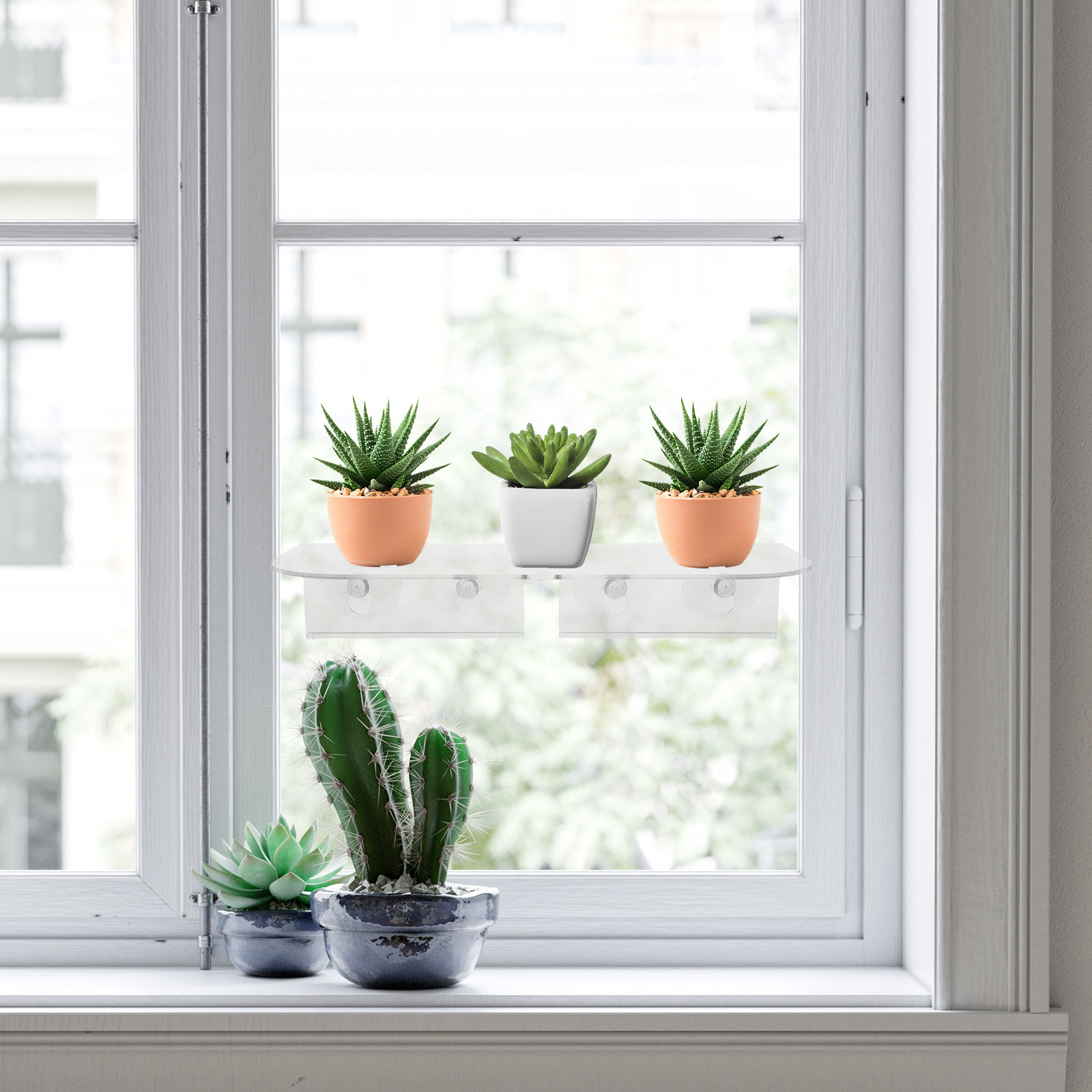 Window Plant Shelf Suction Cup - đánh giá và giá Floating Shelves